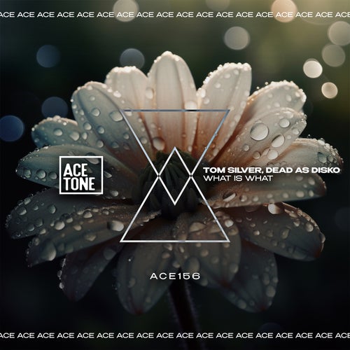 Original cover of What Is What